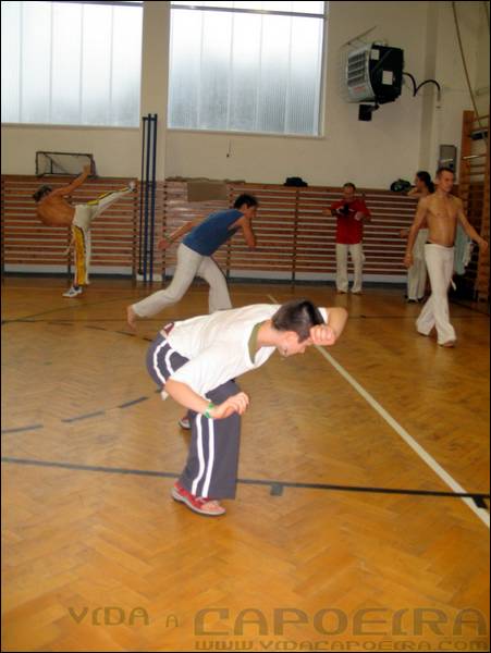 IMG_8505.JPG