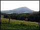 IMG_8595.JPG
