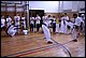 IMG_8768.JPG