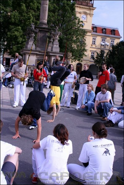IMG_9663.JPG
