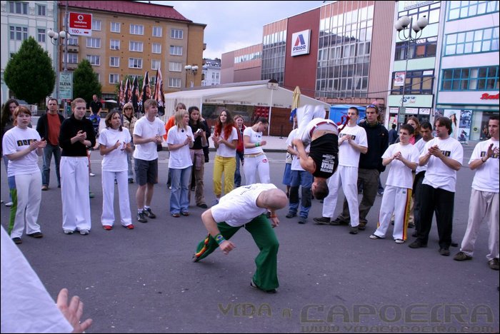 IMG_9776.JPG