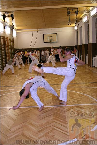 IMG_2225.JPG