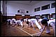 IMG_1876.JPG