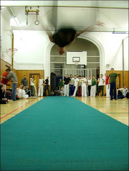 2006031745.jpg