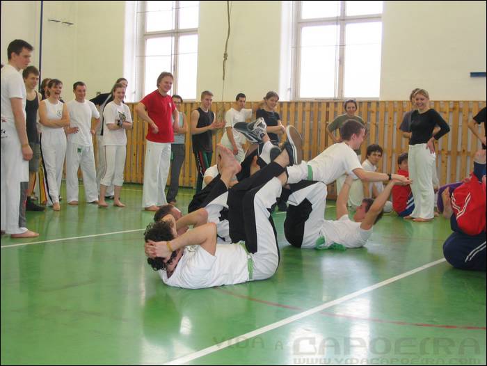 2006031824.jpg