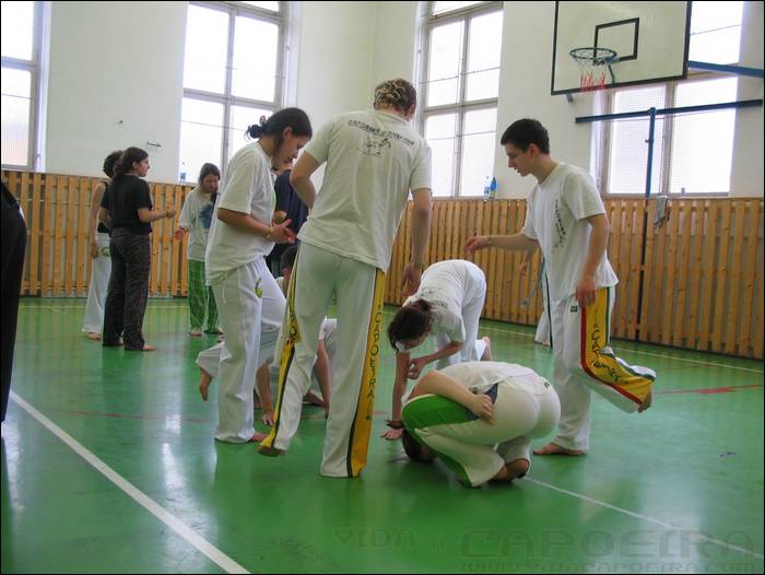 2006031825.jpg