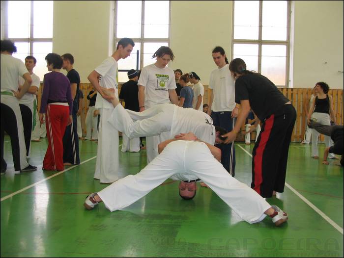 2006031826.jpg
