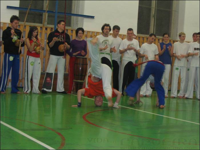 2006031837.jpg