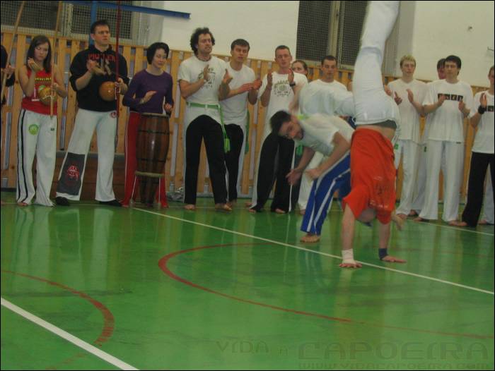 2006031838.jpg