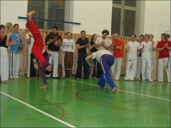 2006031839.jpg