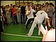 2006031833.jpg
