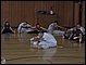 2006031907.jpg