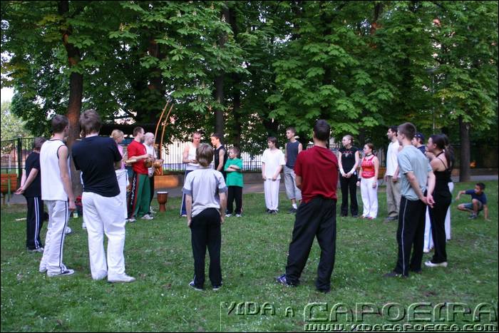IMG_8950.jpg