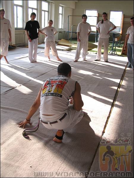 IMG_2878.JPG