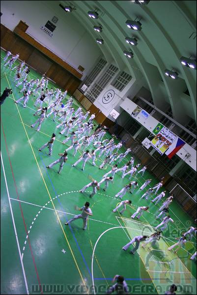IMG_7752.JPG
