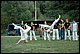 DSC_0072.JPG