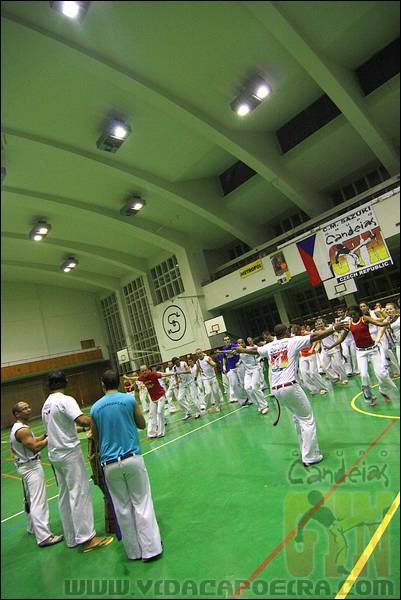 IMG_3533.JPG