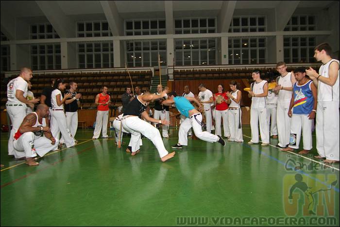 IMG_3563.JPG