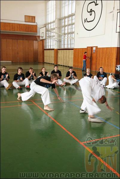 IMG_4779.JPG