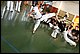 IMG_4795.JPG