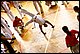 IMG_1131.JPG