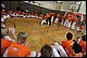 IMG_7435.JPG