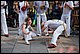 DSC_0081.JPG