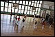 IMG_2226.JPG